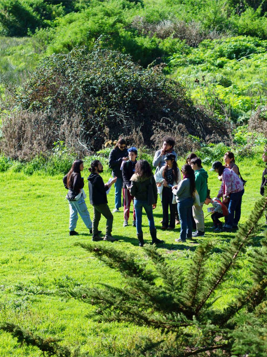 Grupo en una excursión micológica
