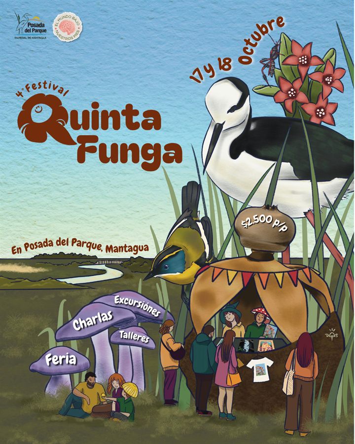 Afiche oficial de Quinta Funga, 17 y 18 de octubre en Posada del Parque, Mantagua: ilustración del humedal con aves, hongos lavanda rotulados Charlas, Talleres, Excursiones y Feria, y una carpa de feria