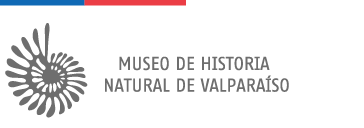 Logo Museo de Historia Natural de Valparaíso