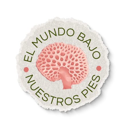 Diana Mena - El mundo bajo nuestros pies