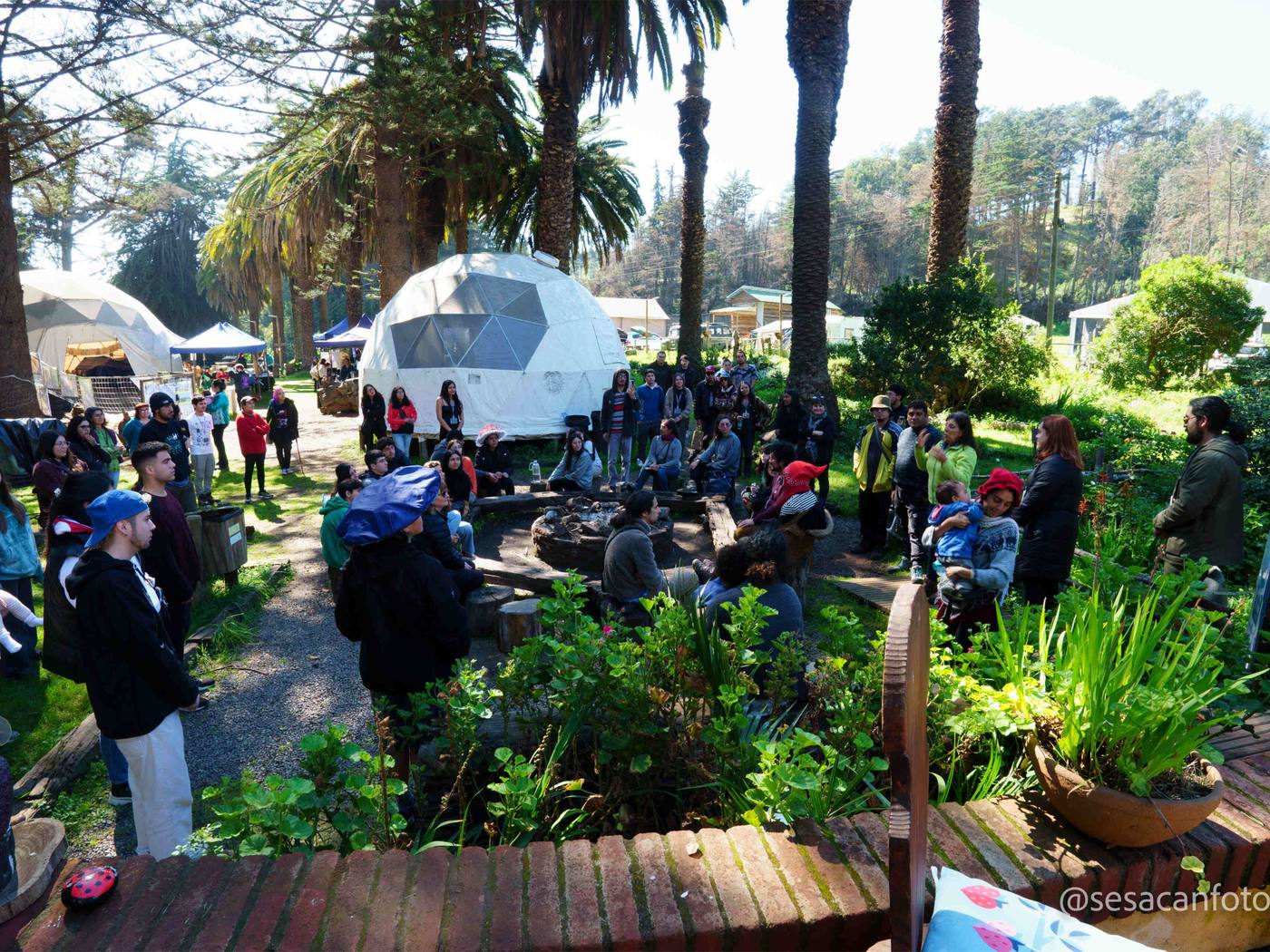 Público del festival entre las palmeras de La Posada del Parque