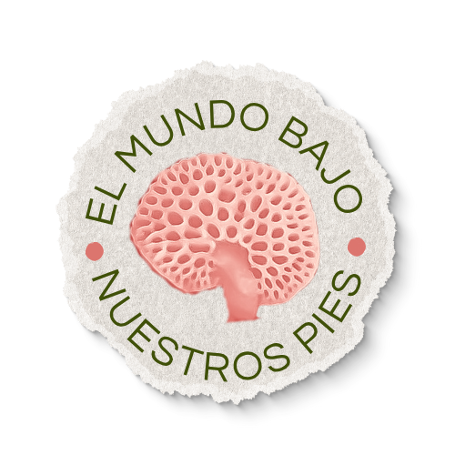 Diana Mena - El mundo bajo nuestros pies